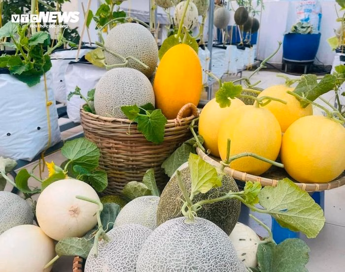 Chia sẻ kinh nghiệm trồng cây trên mạng xã hội